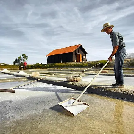 Pour 6, Domaine Avec Piscine